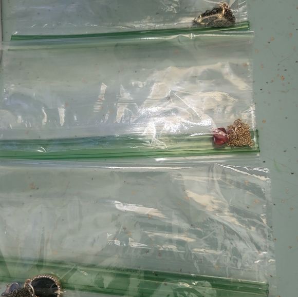 Necklaces - Picture 4 of 4